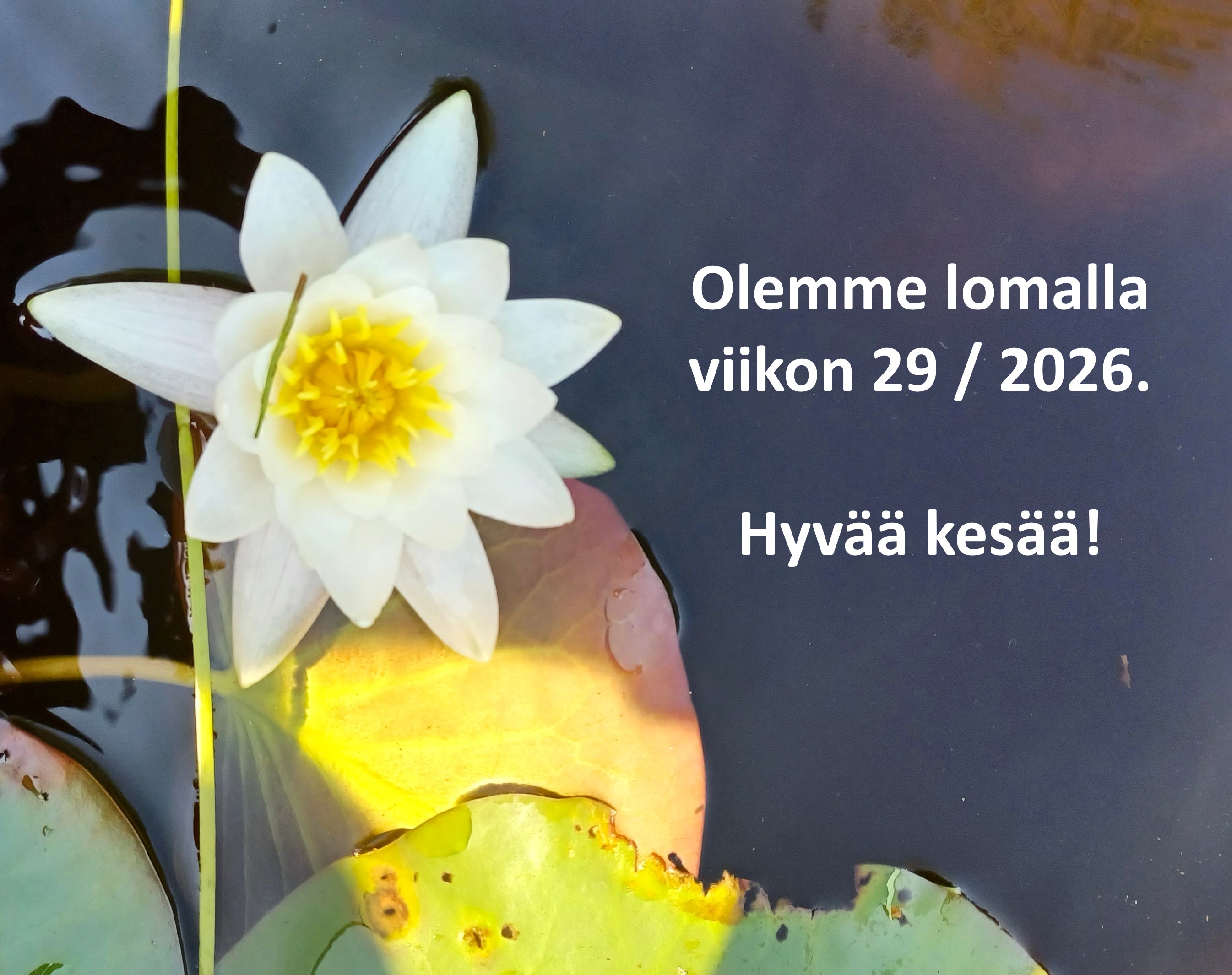 Olemme lomalla viikon 29 2026